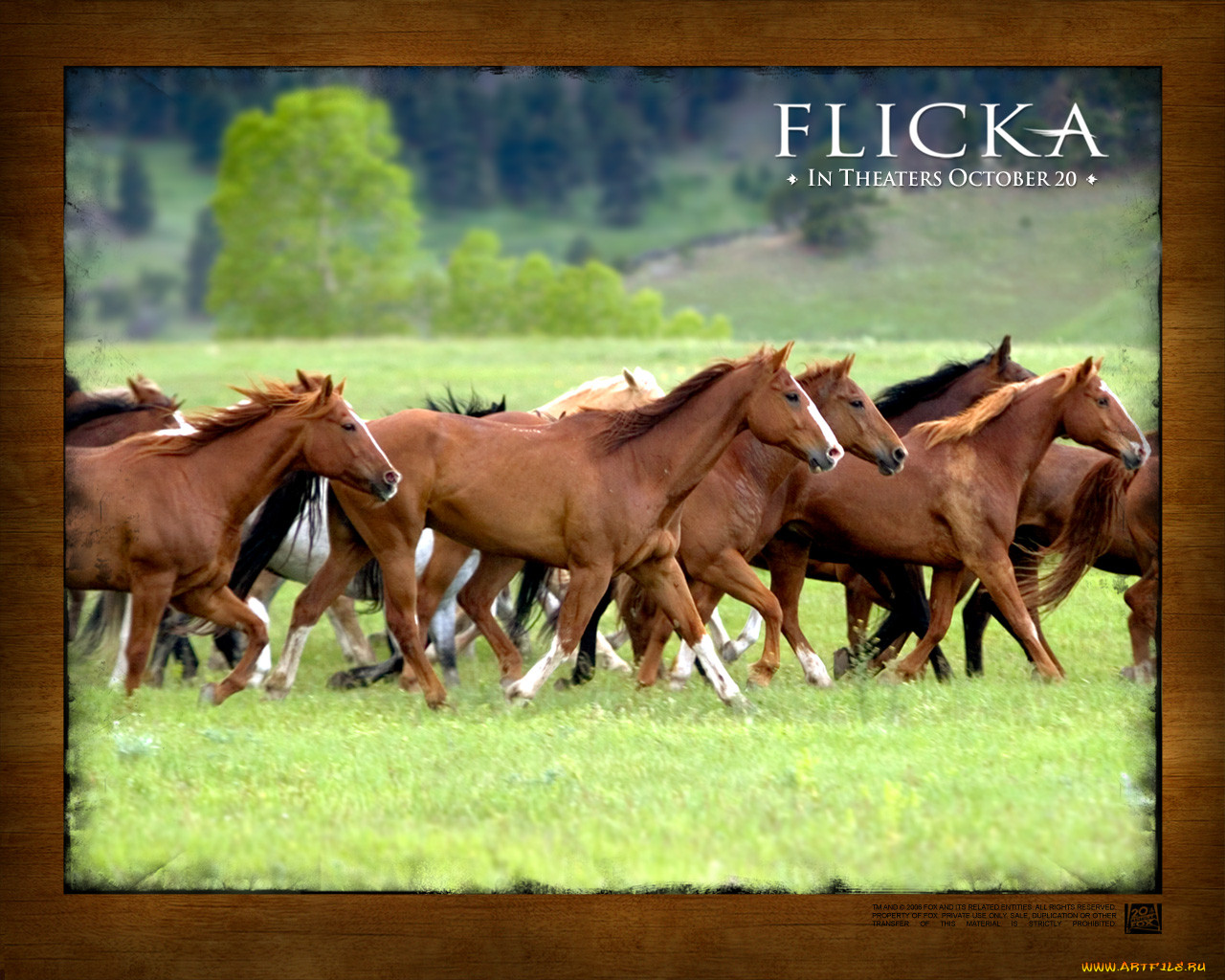 flicka, , 